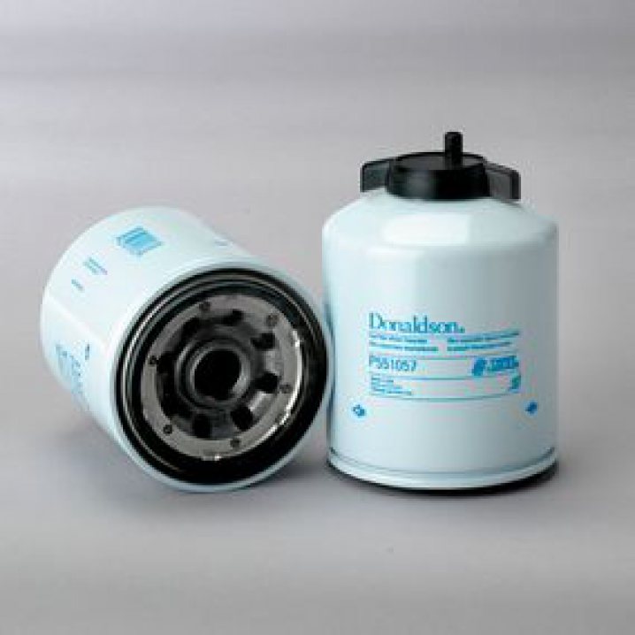 P551057 Filtre à carburant