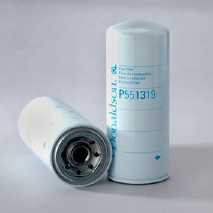 P551319 Filtre à carburant