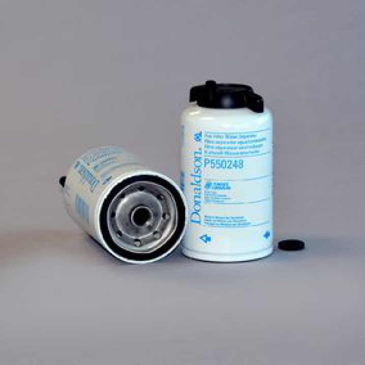 P550248 Filtre à carburant
