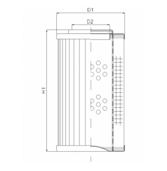 D110G06A Elément filtrant pour filtre à pression