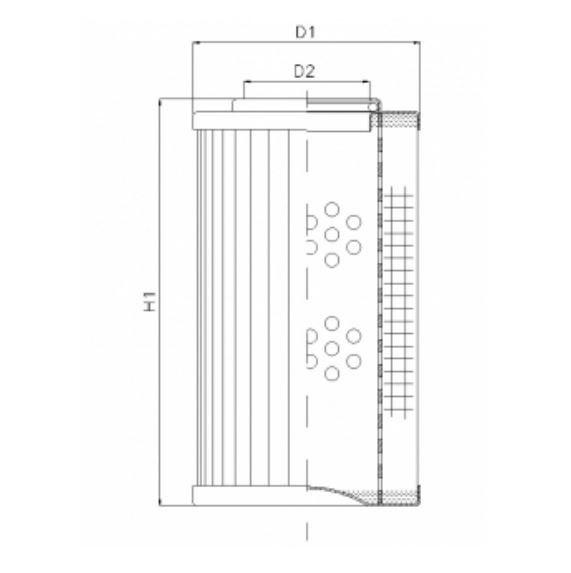 D110G10A Elément filtrant pour filtre à pression