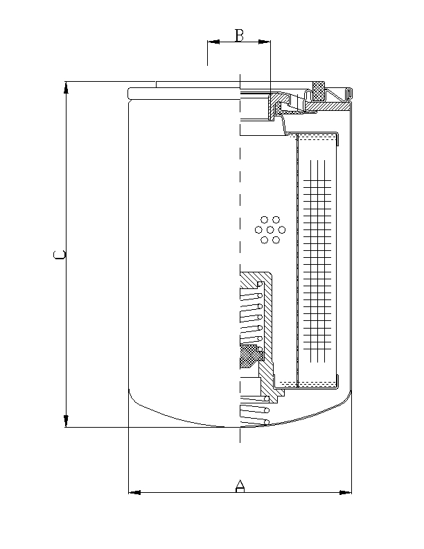 A221G25BM Filtres interchangeables SpinOn